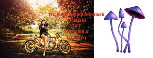 экстази Елизово