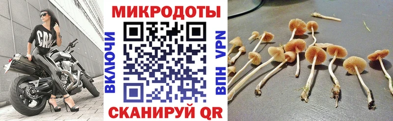 Псилоцибиновые грибы мухоморы  Купить  Лодейное Поле 